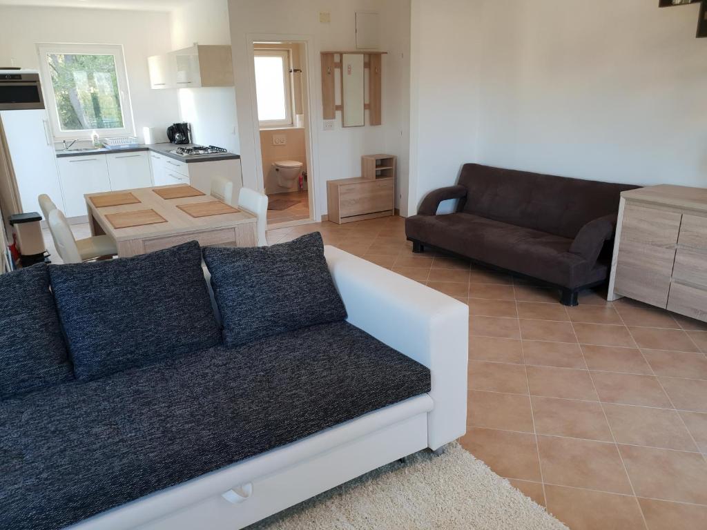 Kuchyňa alebo kuchynka v ubytovaní Apartments Villa Maslinica