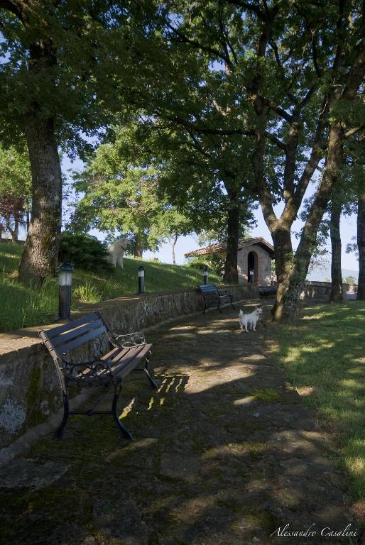 Zahrada ubytování Agriturismo Selvella