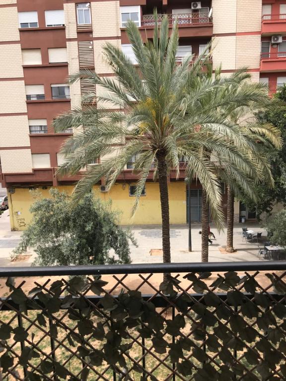 Doctor Oloriz,31,9, Valencia – Bijgewerkte prijzen 2023