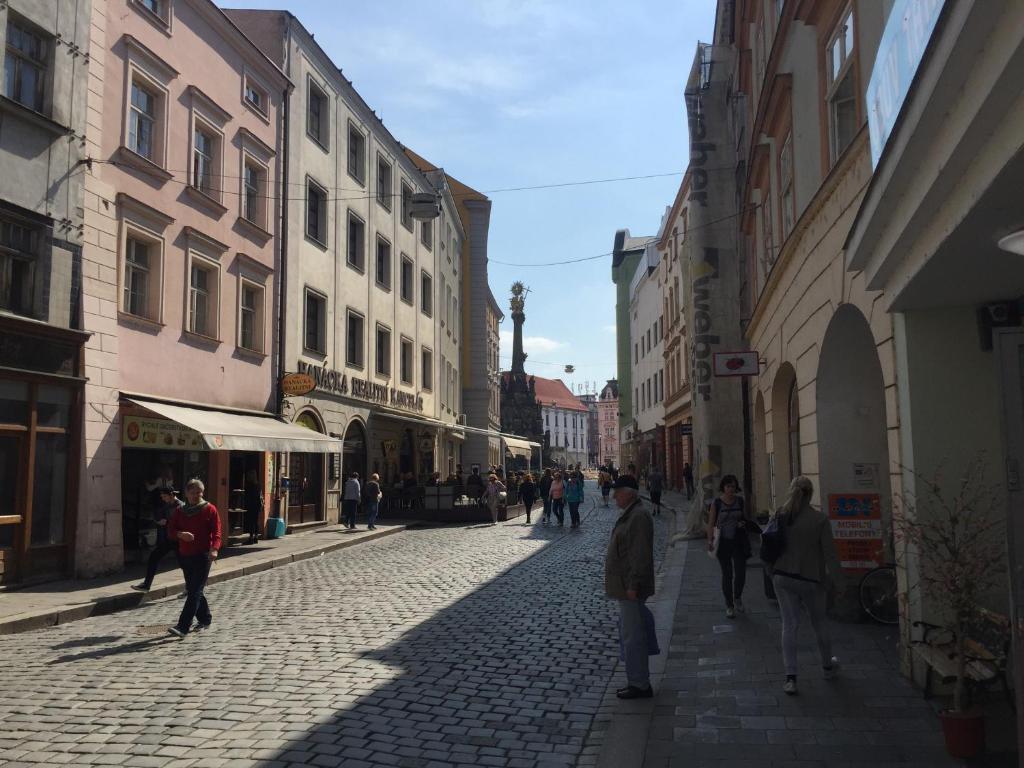 een groep mensen die over een geplaveide straat lopen bij Old Town Apartments R11 in Olomouc