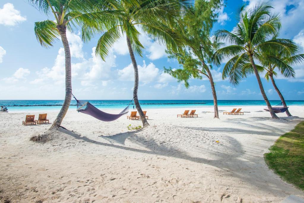 8 Resorts todo incluido en Barbados para una luna de miel 3