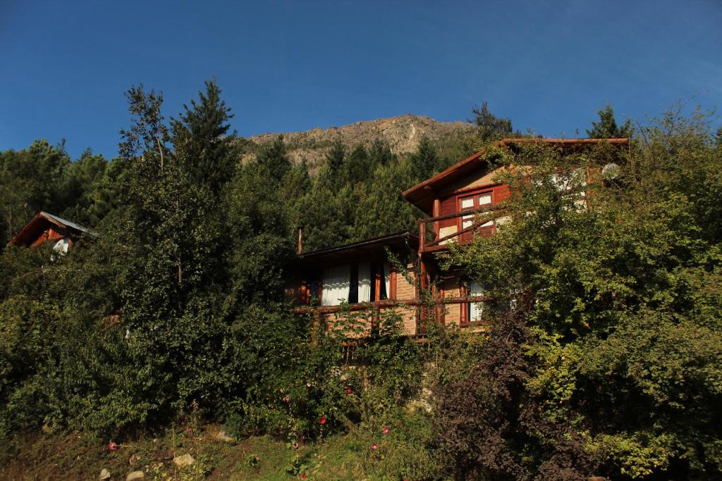 una casa al lado de una colina con árboles en Criollo Lodge en El Hoyo