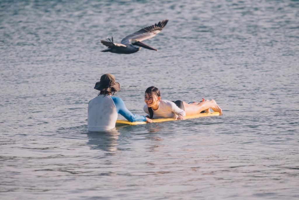 Hosté ubytování Beach Break Hotel & Surf Camp de Playa Venao