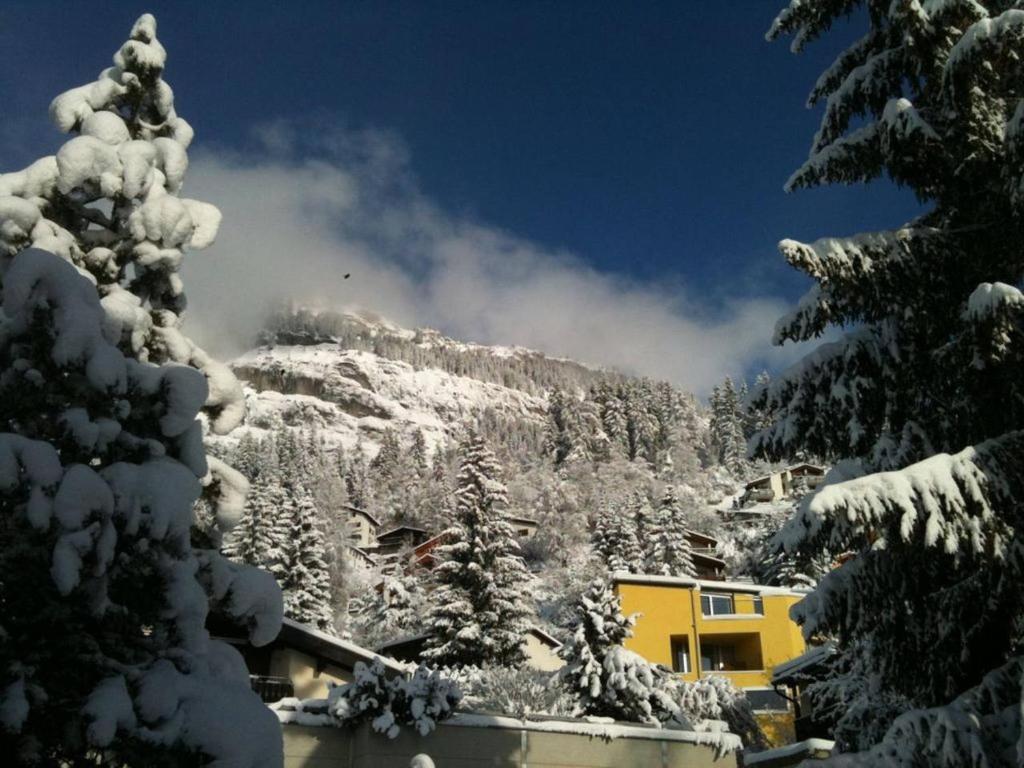Flims Chalet v zimě