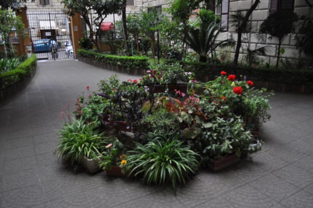 ローマにあるKarina Suiteの建物内の庭植物