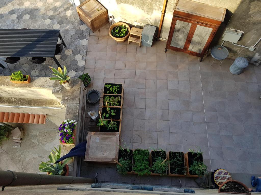 an overhead view of a garden with potted plants at Villa Eugenia in Livorno