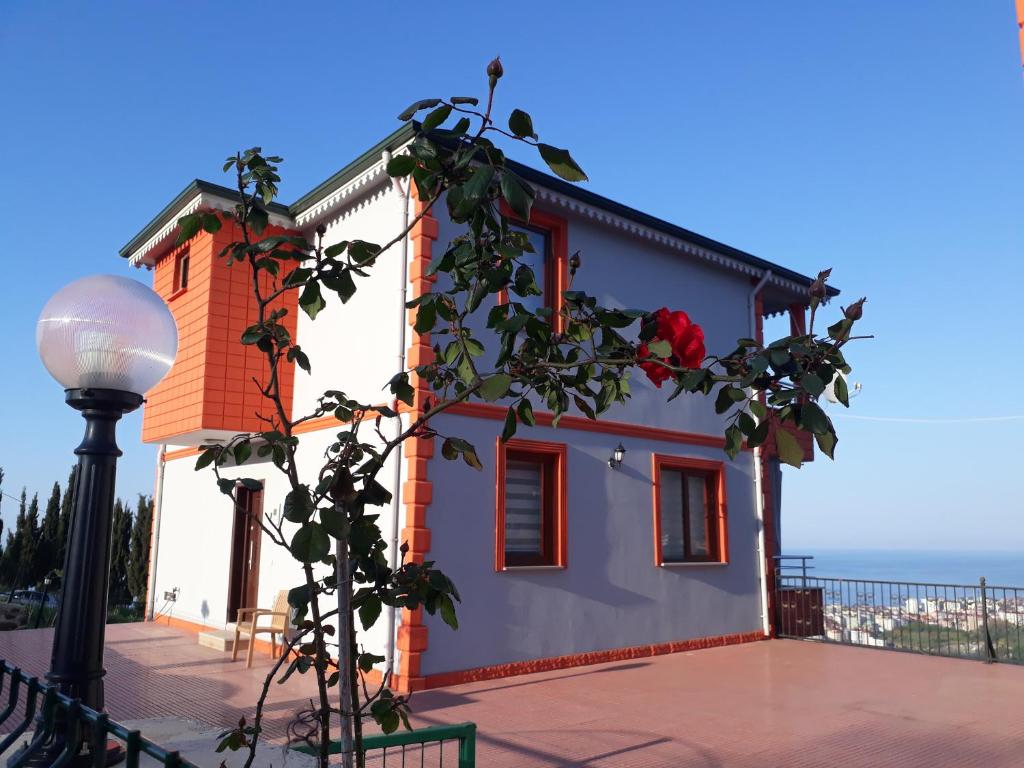 فيلا مطلة على البحر