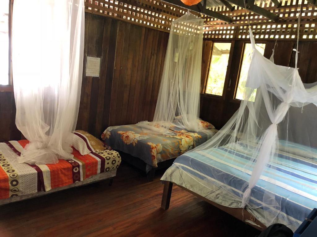 Postel nebo postele na pokoji v ubytování Luminosa Montezuma Hostel