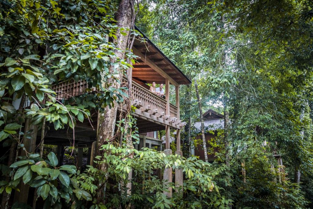 Ein Garten an der Unterkunft The Datai Langkawi