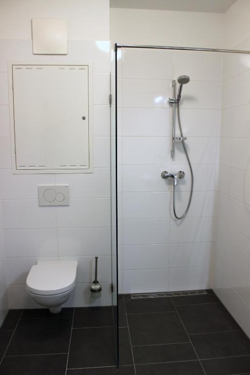 Albert Schweitzer Center Graz - 6