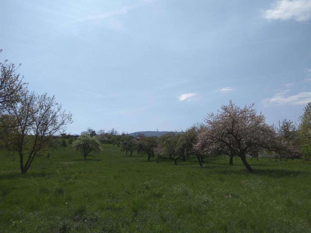 Příroda nedaleko apartmánu