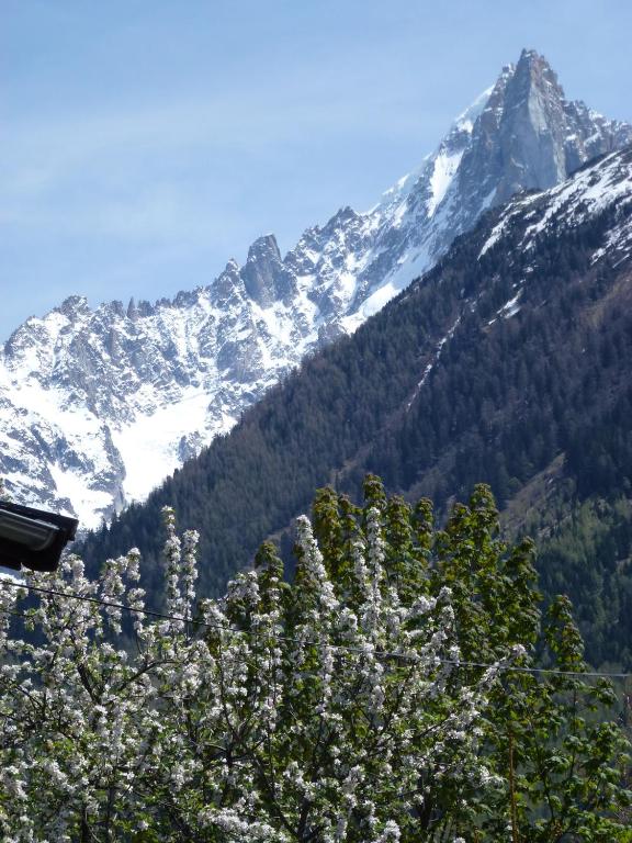 a snow covered mountain with a tree in the foreground at Hotel Du Clocher in Chamonix