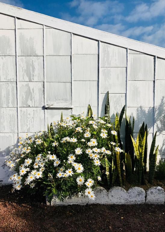 Herdade do Ananás - 16