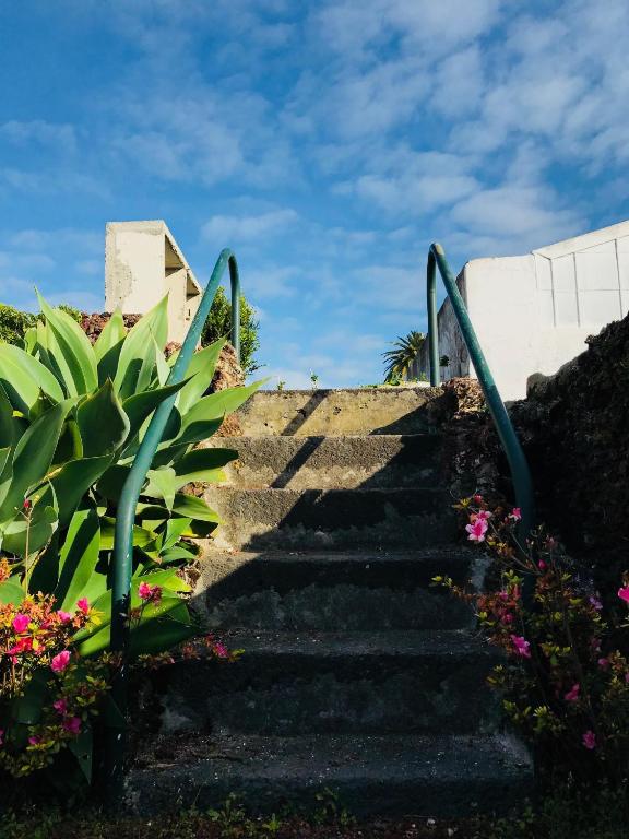 Herdade do Ananás - 15