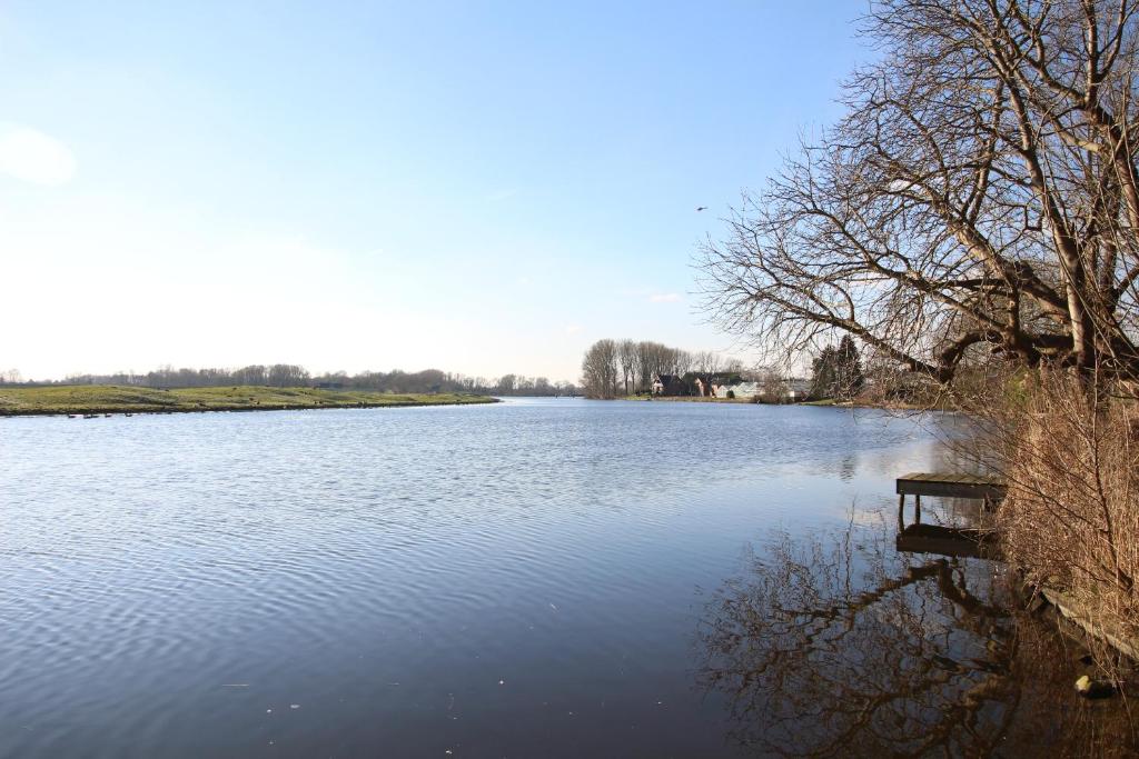 a bench sitting on the side of a lake at Elbperle94 in Hamburg