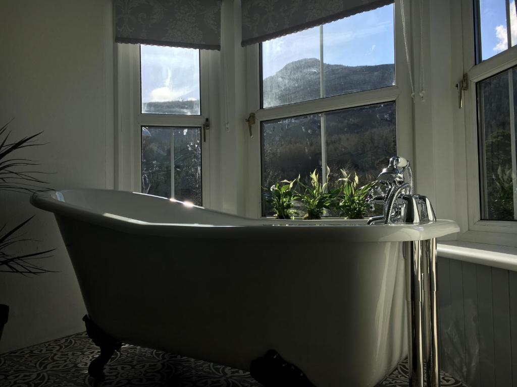 Rosebank House Bed & Breakfast - King Room Met Uitzicht Op De Bergen