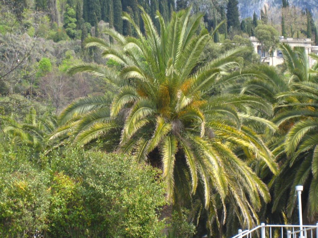 Comfort House - отзывы и видео