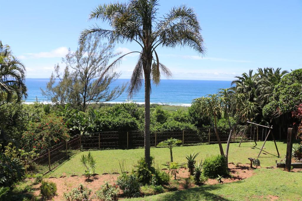a palm tree in a garden with the ocean in the background at Woodgrange Garden Cottages in Hibberdene