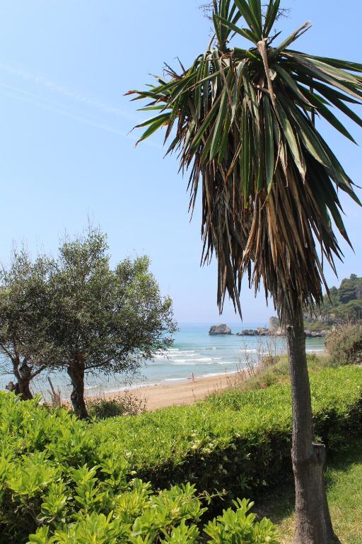 グリファダにあるGlyfada Gorgona Apartmentsの浜辺に座るヤシの木