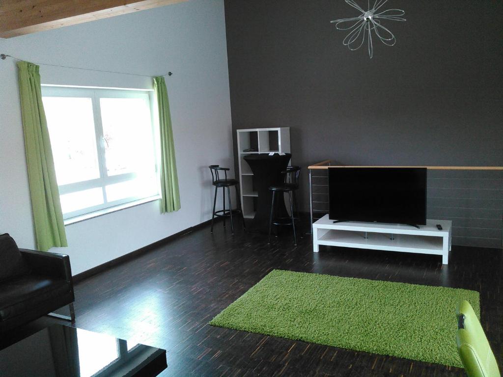 a living room with a television and a green rug at Ferienwohnung zum Kletterturm in Kaufbeuren