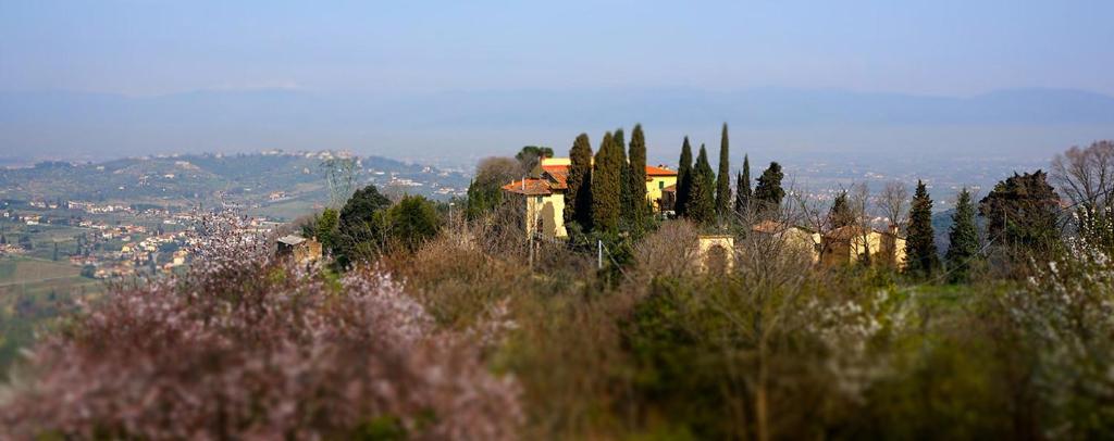 une maison au sommet d'une colline avec des arbres dans l'établissement Agriturismo Frigionaia, à Carmignano