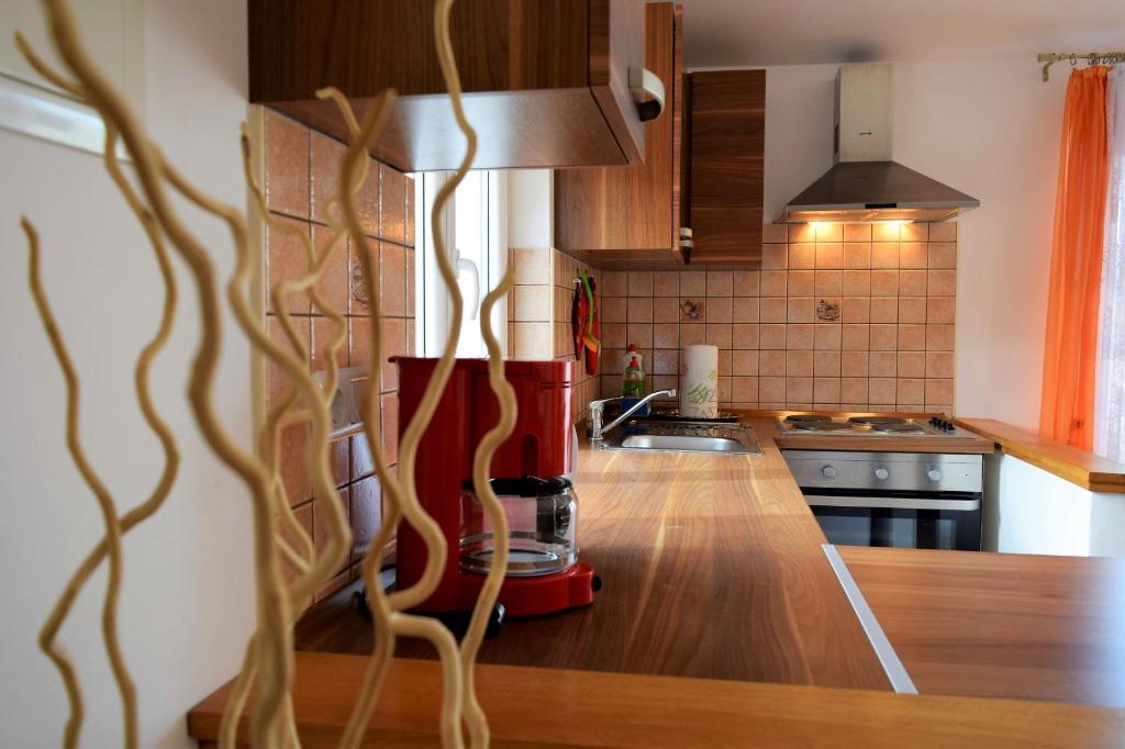 a kitchen with a counter with a coffee maker at Peter Pan Apartments in Rab