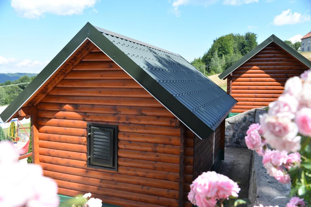 Příroda nedaleko motelu