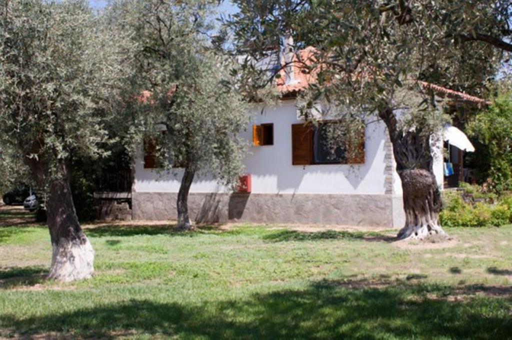 Zahrada ubytování Patroudis House