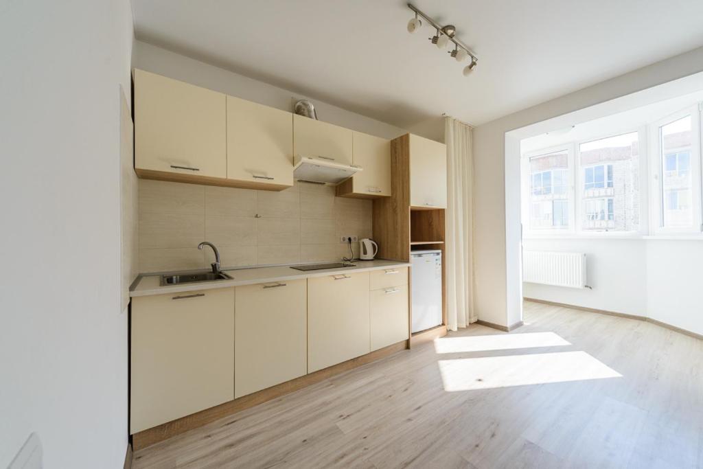 Kuchyň nebo kuchyňský kout v ubytování Comfortable apartment near airport Zhulyny