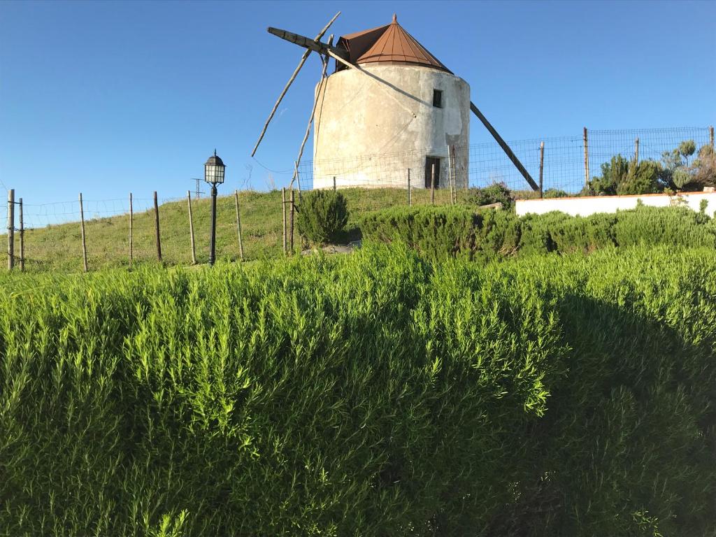 Budova, kde se vila nachází