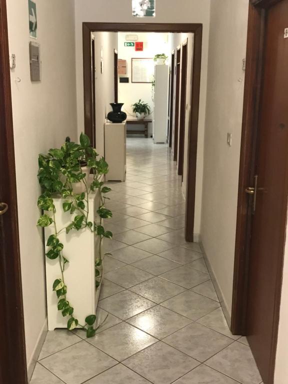 Fotografie z fotogalerie ubytování Hotel B&B Rispescia Grosseto v destinaci Rispescia