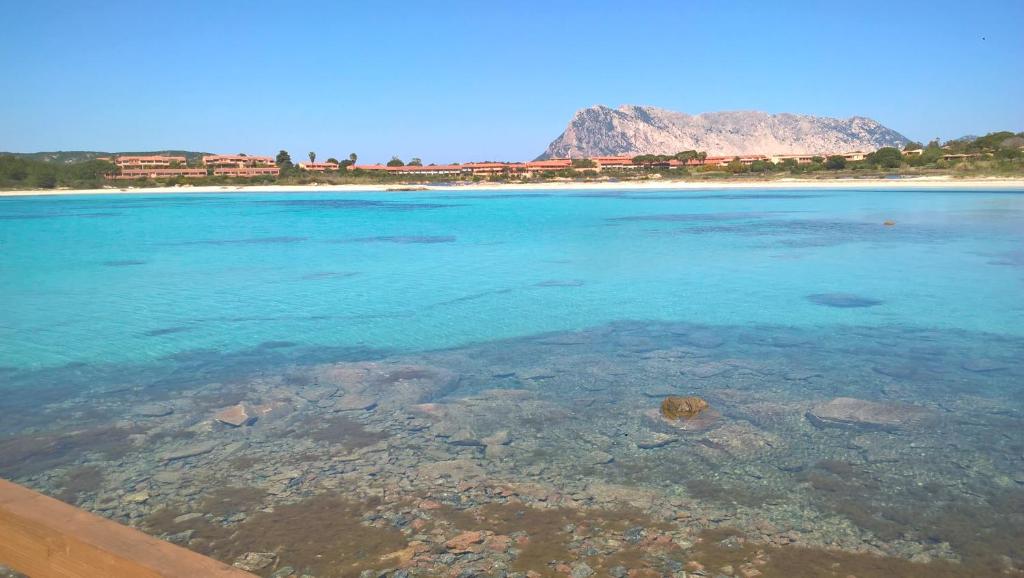 a view of a beach with clear blue water at Porto Coda Cavallo in San Teodoro