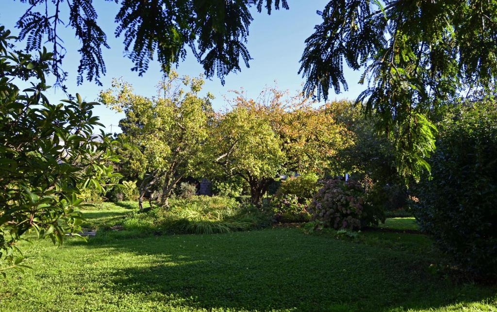 Foto sihtkohas Puerto Varas asuva majutusasutuse Casa Apel Hostel galeriist