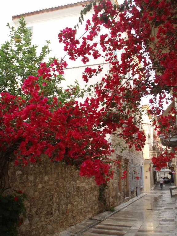 Il quartiere o una zona nella vicinanze dell'hotel