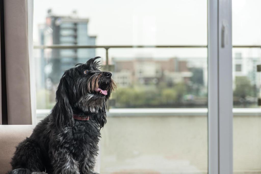 Residence iL Lago - Resim 41