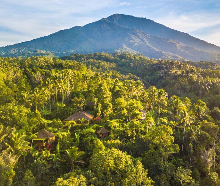 an aerial view of a tropical forest with a mountain at Sarinbuana Eco Lodge in Blimbing