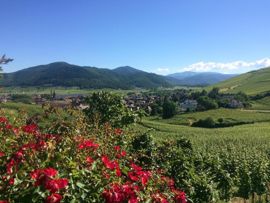 camping Le Médiéval – photo 19