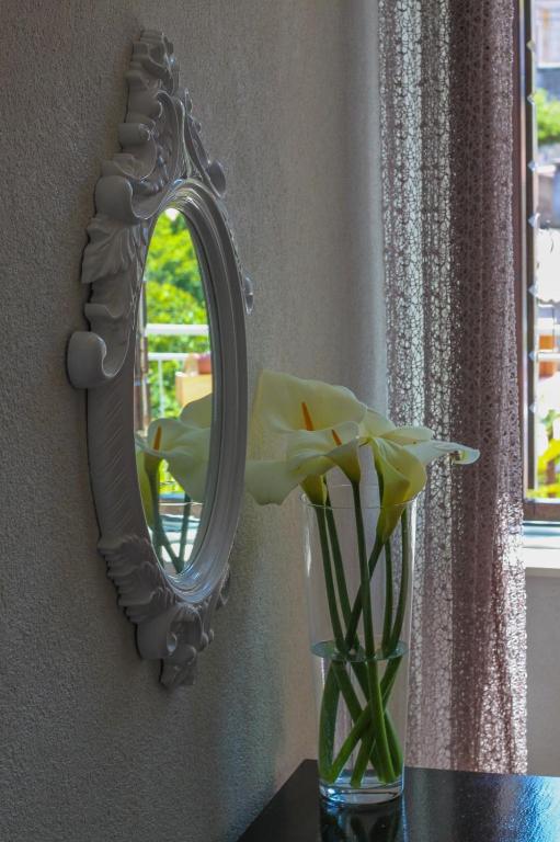 Fotografie z fotogalerie ubytování Apartments Kut v destinaci Vis