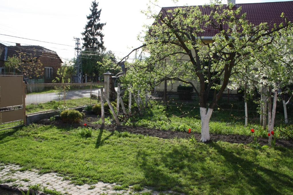 Zahrada ubytování Apartment Petefi