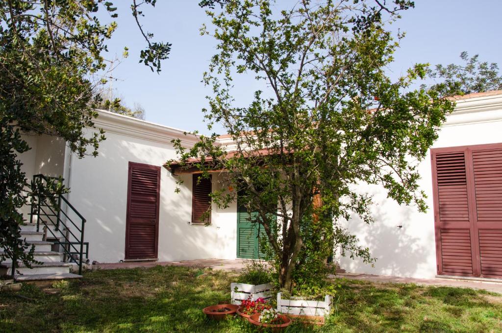 una casa bianca con un albero in cortile di Residence Cort'e Accas a Bari Sardo