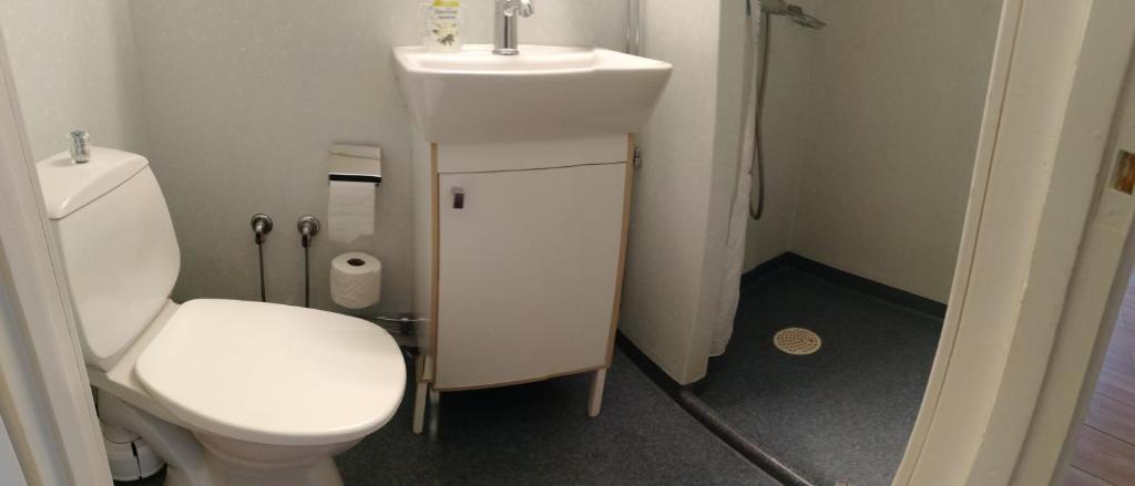 Koupelna v ubytování Hotell Björnidet