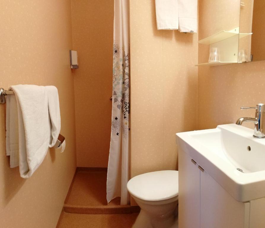 Koupelna v ubytování Hotell Björnidet