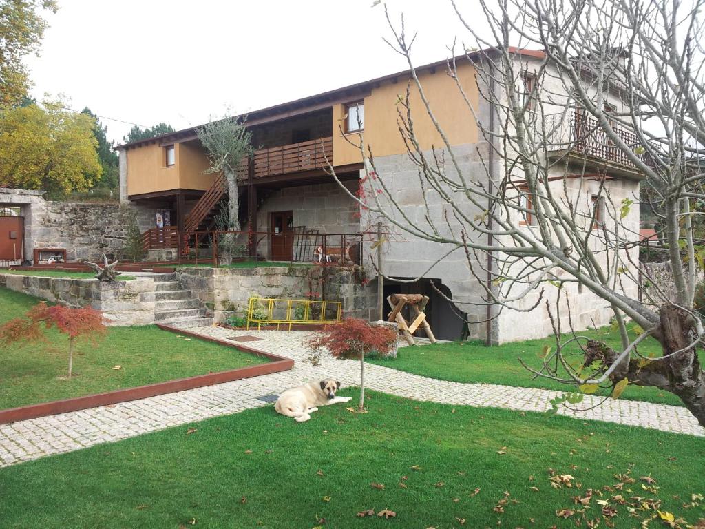 a dog laying on the grass in front of a building at Casa da Feira in Lobios