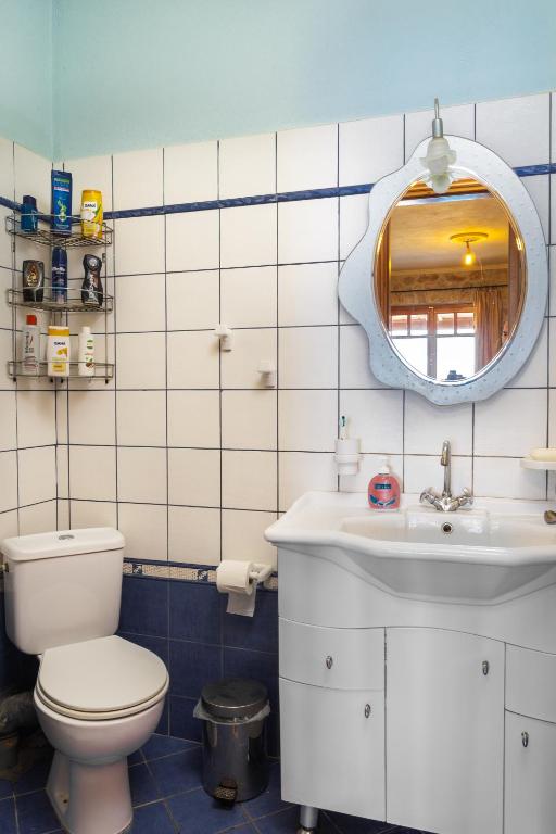 a bathroom with a toilet and a sink and a mirror at Nireas : Stone Villa in Zakynthos