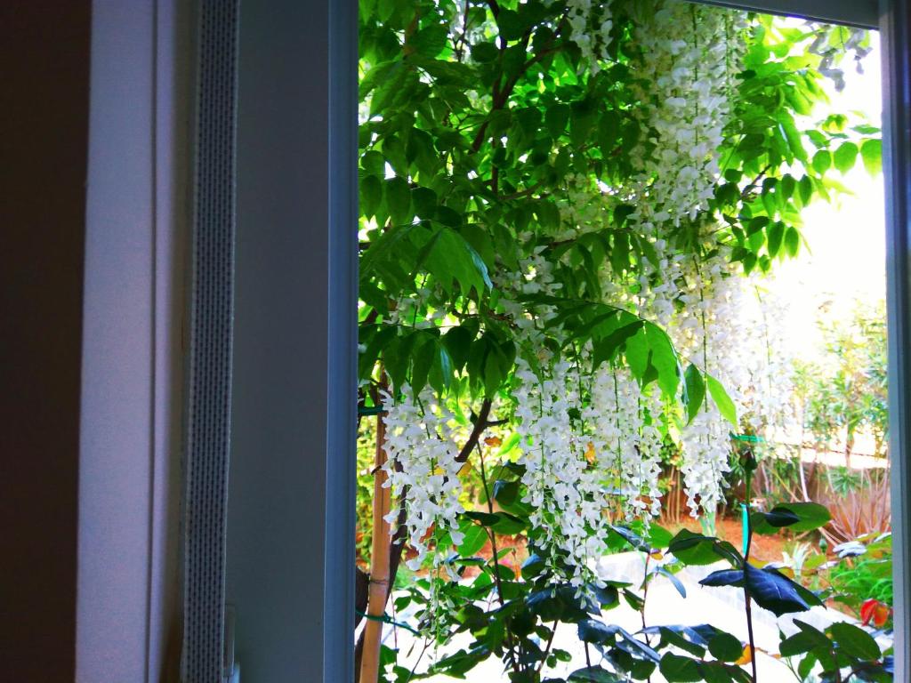 ApartHotel Viola - Studio With Garden View