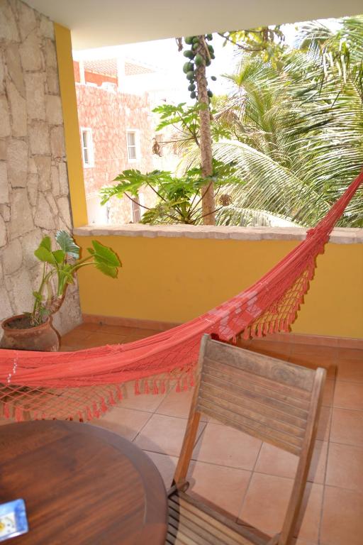 Patio nebo venkovní prostory v ubytování Guest House Orquidea