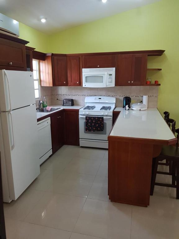 Kuchyň nebo kuchyňský kout v ubytování Piarco Village Suites