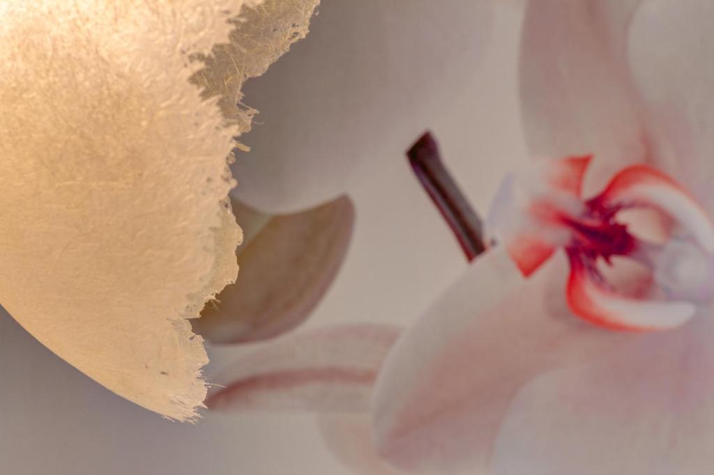 Il Convento Dei Fiori Di Seta - Resim 16