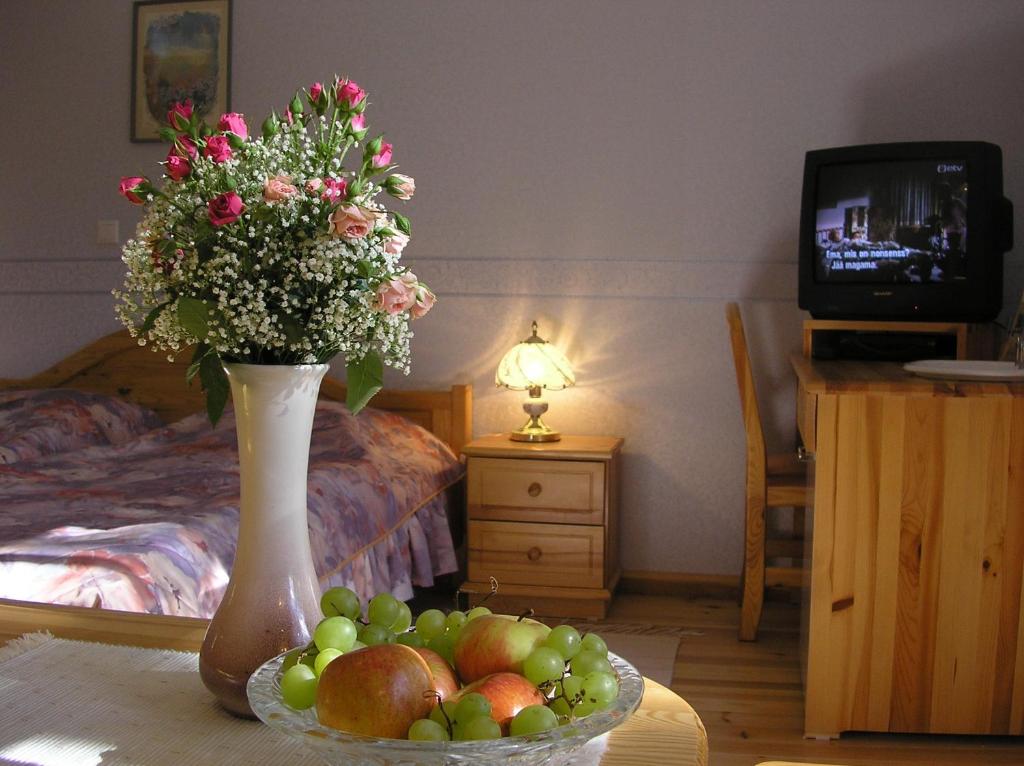 TV a/nebo společenská místnost v ubytování Villa Johanna Guesthouse