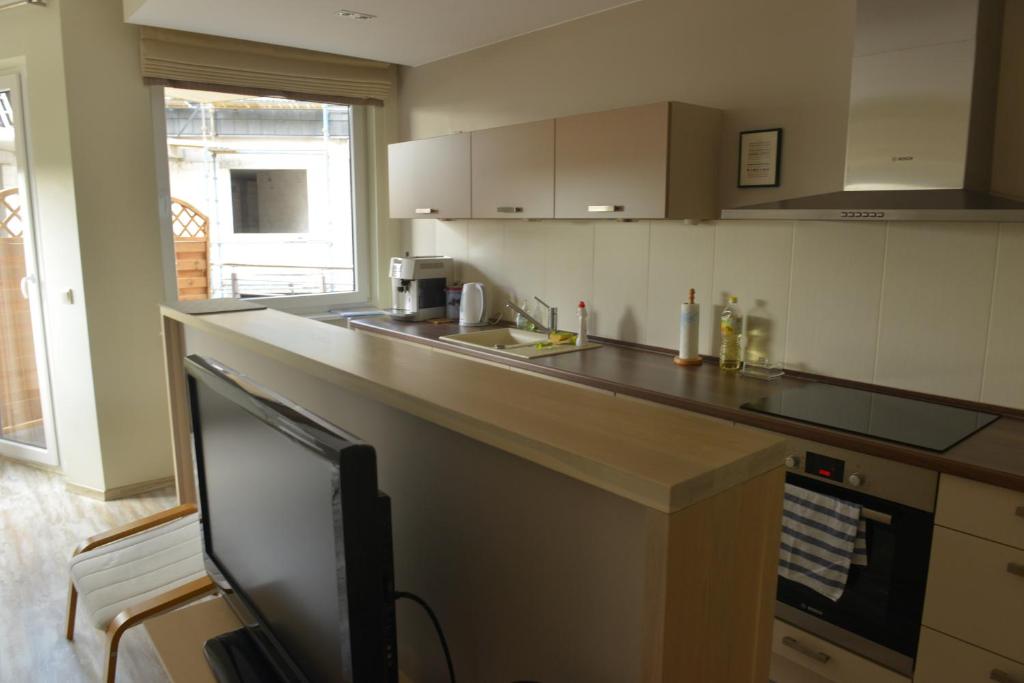 Kuchyňa alebo kuchynka v ubytovaní Apartament Babitonga I